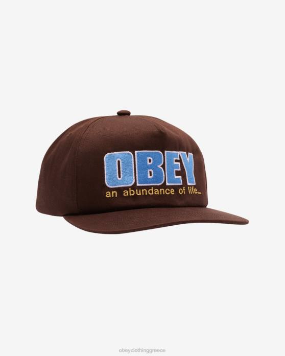 java καφέ αξεσουάρ 686F436 OBEY αφθονία 5 snapback πάνελ άνδρες