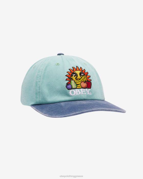 pigment sea spray multi αξεσουάρ 686F415 OBEY πιγμέντα φρούτα 6 snapback πάνελ άνδρες