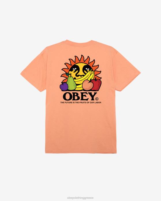 εσπεριδοειδές είδη ένδυσης 686F292 OBEY το μέλλον είναι το κλασικό μπλουζάκι της δουλειάς μας άνδρες
